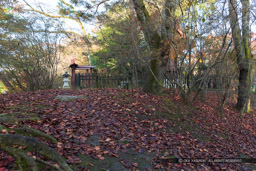 天守跡推定地｜高解像度画像サイズ：6720 x 4480 pixels｜写真番号：5D4A1313｜撮影：Canon EOS 5D Mark IV