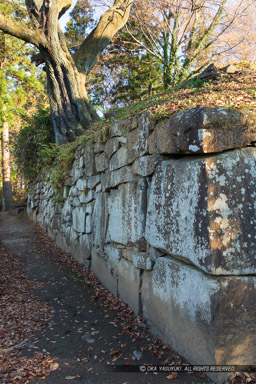 西櫓台跡石垣｜高解像度画像サイズ：4480 x 6720 pixels｜写真番号：5D4A1342｜撮影：Canon EOS 5D Mark IV