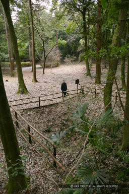 ｜高解像度画像サイズ：2704 x 4064 pixels｜写真番号：100-3280S53B｜撮影：Canon EOS-1DS