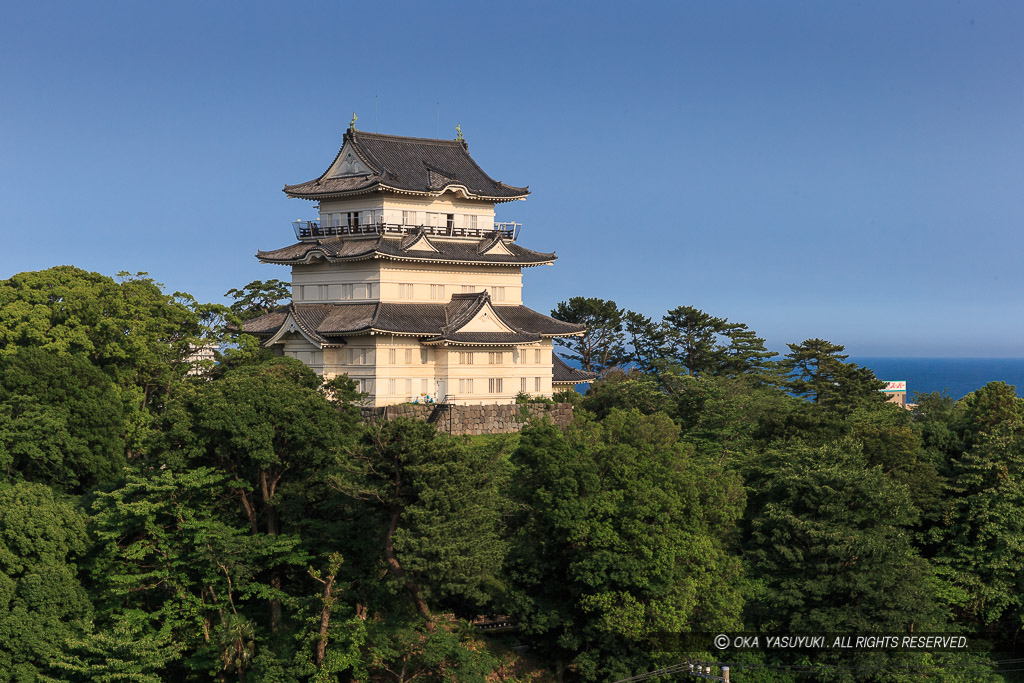 八幡山古郭から小田原城天守