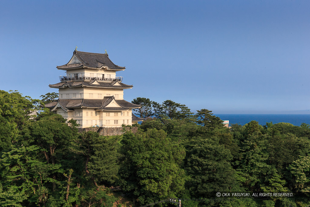 八幡山古郭から小田原城天守