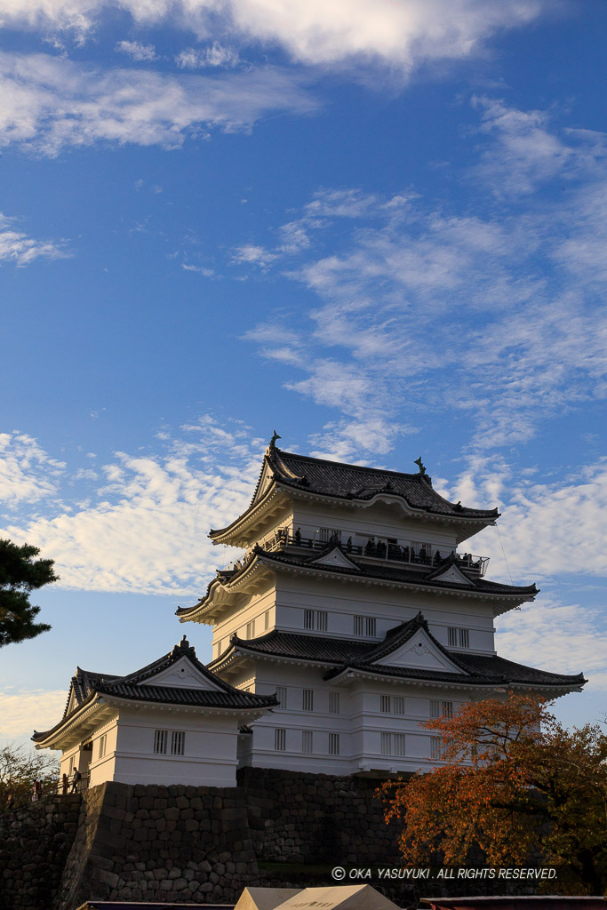 小田原城天守リニューアル後