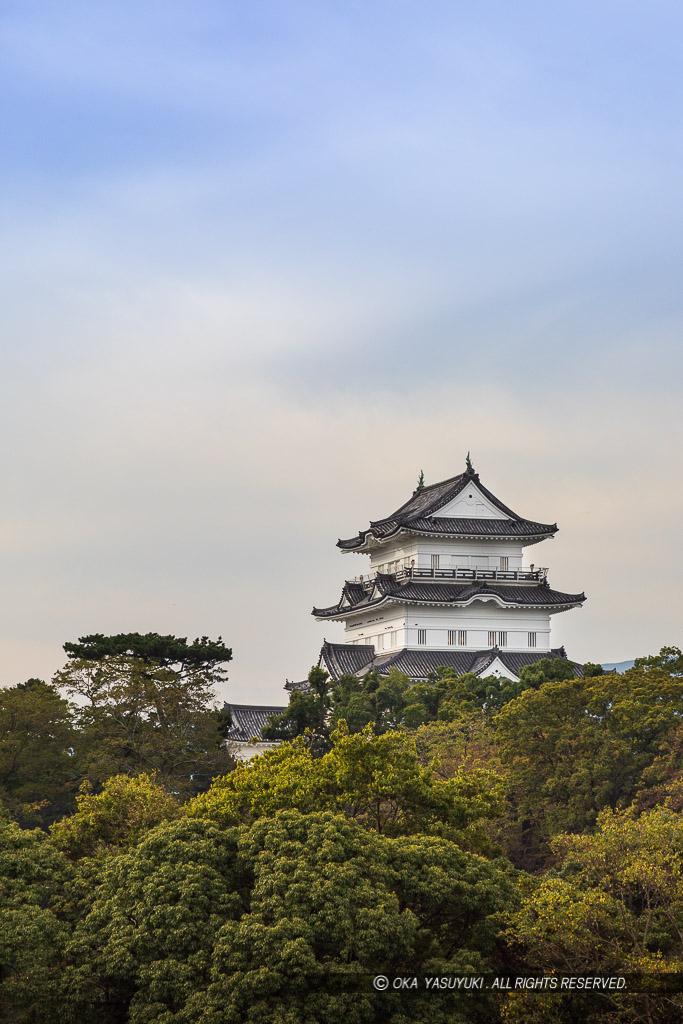 小田原城下から天守を望む