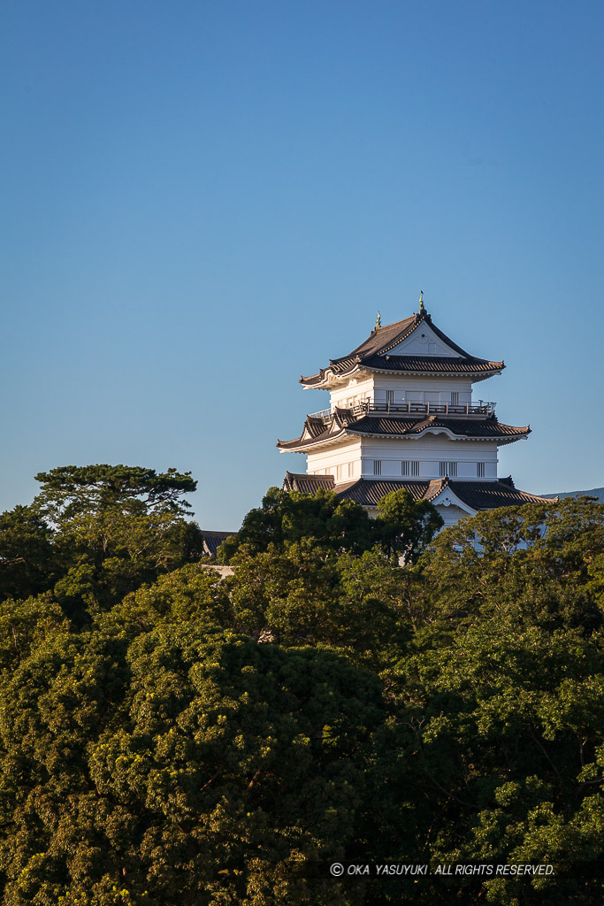 小田原城遠景・高解像度