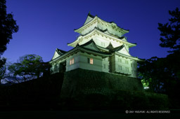小田原城ライトアップ|高解像度画像サイズ:3921 x 2609 pixels|写真番号:100-0142S53B|撮影:Canon EOS-1DS