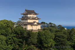 八幡山古郭から小田原城天守｜高解像度画像サイズ：5184 x 3456 pixels｜写真番号：1DX_4741｜撮影：Canon EOS-1D X