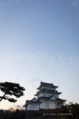 小田原城天守閣・背景用・リニューアル後|高解像度画像サイズ:4480 x 6720 pixels|写真番号:5D4A1625|撮影:Canon EOS 5D Mark IV