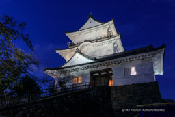 小田原城天守閣ライトアップ|高解像度画像サイズ:5797 x 3865 pixels|写真番号:5D4A1642|撮影:Canon EOS 5D Mark IV