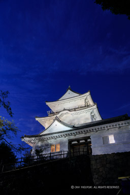 小田原城天守閣ライトアップ|高解像度画像サイズ:4480 x 6720 pixels|写真番号:5D4A1647|撮影:Canon EOS 5D Mark IV