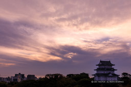 小田原城の日の出・リニューアル後|高解像度画像サイズ:6328 x 4218 pixels|写真番号:5D4A1712|撮影:Canon EOS 5D Mark IV