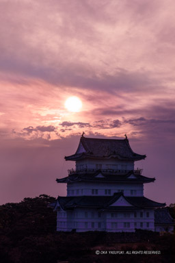 小田原城の日の出・リニューアル後｜高解像度画像サイズ：4480 x 6720 pixels｜写真番号：5D4A1769-Edit｜撮影：Canon EOS 5D Mark IV