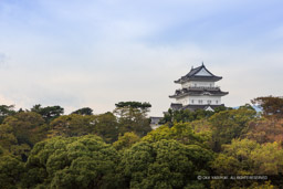 小田原城下から天守を望む|高解像度画像サイズ:6605 x 4403 pixels|写真番号:5D4A1936|撮影:Canon EOS 5D Mark IV