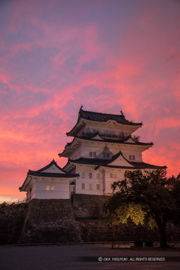 小田原城の夕焼け｜高解像度画像サイズ：5792 x 8688 pixels｜写真番号：5DSA2433｜撮影：Canon EOS 5DS