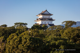 小田原城遠景・高解像度｜高解像度画像サイズ：8602 x 5735 pixels｜写真番号：5DSA2483｜撮影：Canon EOS 5DS