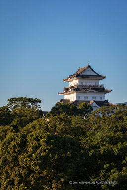 小田原城遠景・高解像度｜高解像度画像サイズ：5388 x 8083 pixels｜写真番号：5DSA2484｜撮影：Canon EOS 5DS