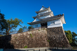 小田原城天守閣リニューアル後・高解像度|高解像度画像サイズ:8688 x 5792 pixels|写真番号:5DSA2612|撮影:Canon EOS 5DS