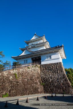 小田原城天守閣リニューアル後・高解像度|高解像度画像サイズ:5792 x 8688 pixels|写真番号:5DSA2614|撮影:Canon EOS 5DS