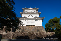 小田原城天守閣リニューアル後・高解像度|高解像度画像サイズ:8688 x 5792 pixels|写真番号:5DSA2619|撮影:Canon EOS 5DS