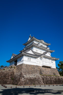 小田原城天守閣リニューアル後・高解像度|高解像度画像サイズ:5489 x 8234 pixels|写真番号:5DSA2765|撮影:Canon EOS 5DS