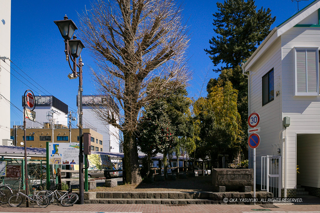 三の丸幸田口門跡の土塁