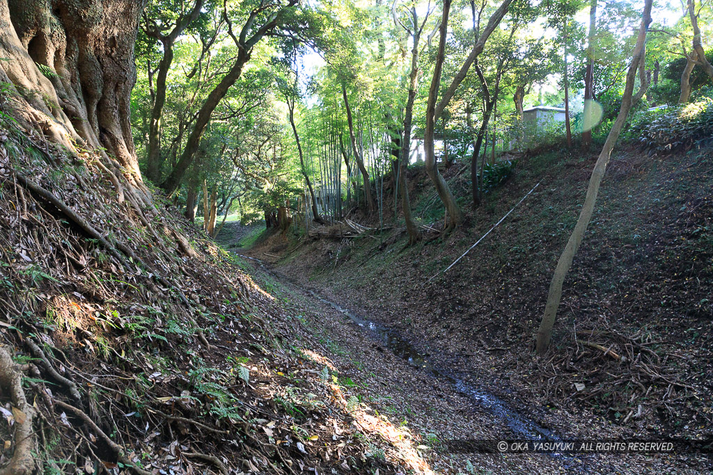 小田原城総構え・小峰大堀切