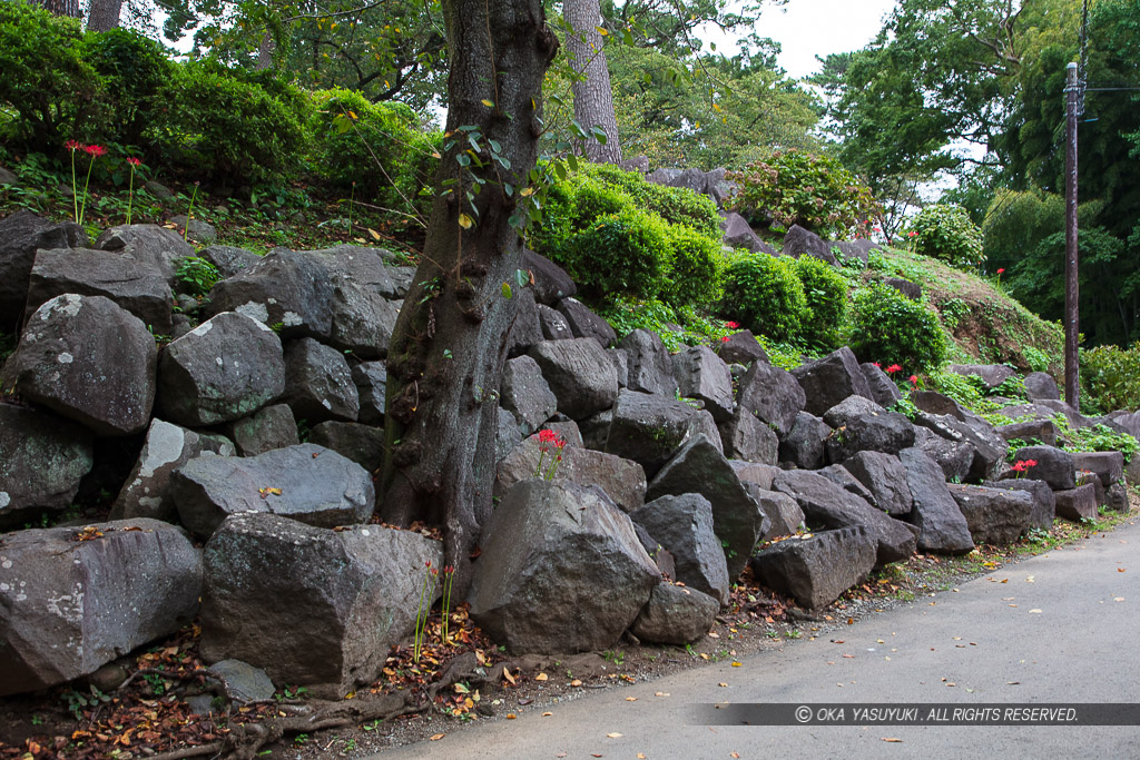関東大震災で崩壊した江戸時代の石垣
