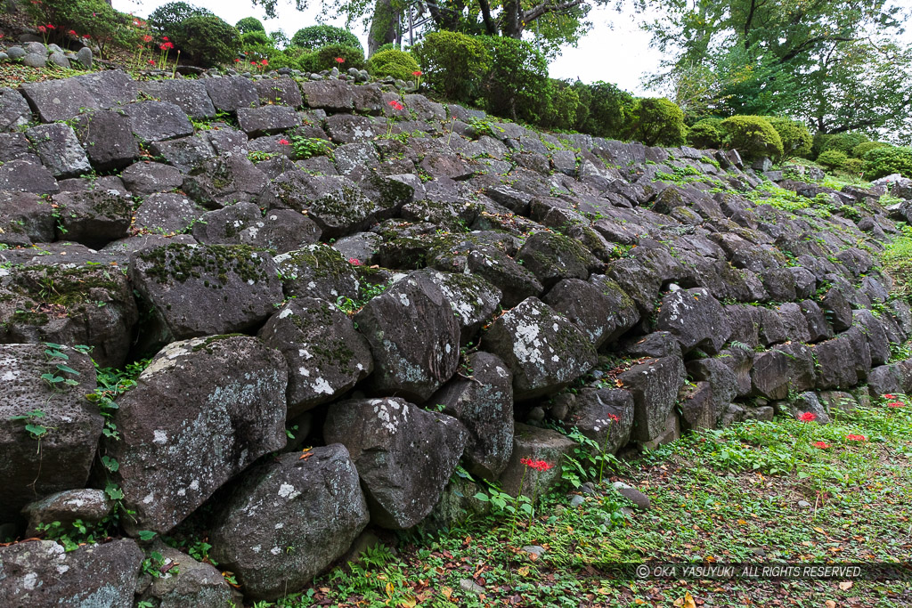 関東大震災で崩壊した江戸時代の石垣