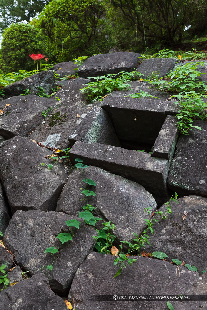 関東大震災で崩壊した江戸時代の石垣