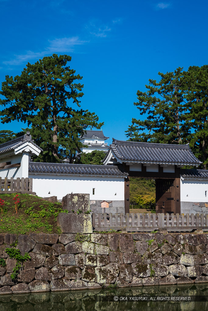 馬出門と小田原城天守閣