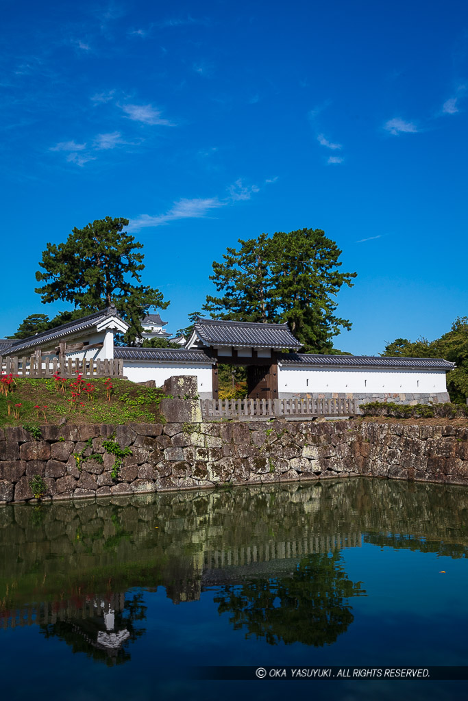 馬出門と小田原城天守閣