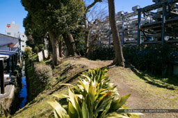 三の丸幸田口門跡の土塁|高解像度画像サイズ:3809 x 2534 pixels|写真番号:100-0026S53B|撮影:Canon EOS-1DS