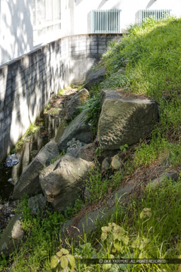 三の丸幸田口門跡に残る石垣|高解像度画像サイズ:2344 x 3522 pixels|写真番号:100-0033S53B|撮影:Canon EOS-1DS