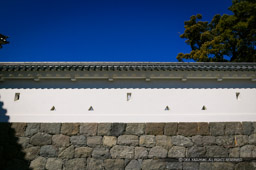 小田原城銅門虎口の鉄砲狭間|高解像度画像サイズ:4033 x 2683 pixels|写真番号:100-0124S53B|撮影:Canon EOS-1DS