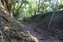 小田原城総構え・小峰大堀切|高解像度画像サイズ:6720 x 4480 pixels|写真番号:5D4A1520|撮影:Canon EOS 5D Mark IV