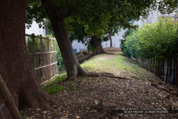 三の丸幸田口門跡の土塁|高解像度画像サイズ:6720 x 4480 pixels|写真番号:5D4A1923|撮影:Canon EOS 5D Mark IV