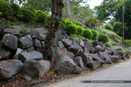 関東大震災で崩壊した江戸時代の石垣|高解像度画像サイズ:8185 x 5456 pixels|写真番号:5DSA2408|撮影:Canon EOS 5DS