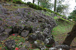 関東大震災で崩壊した江戸時代の石垣|高解像度画像サイズ:8688 x 5792 pixels|写真番号:5DSA2409|撮影:Canon EOS 5DS