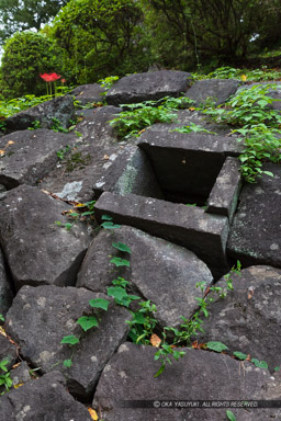 関東大震災で崩壊した江戸時代の石垣|高解像度画像サイズ:5792 x 8688 pixels|写真番号:5DSA2418|撮影:Canon EOS 5DS