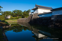 住吉堀｜高解像度画像サイズ：8688 x 5792 pixels｜写真番号：5DSA2536｜撮影：Canon EOS 5DS