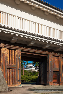 銅門から小田原城天守｜高解像度画像サイズ：4680 x 7020 pixels｜写真番号：5DSA2560｜撮影：Canon EOS 5DS