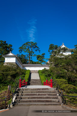 常盤木門｜高解像度画像サイズ：5389 x 8084 pixels｜写真番号：5DSA2796｜撮影：Canon EOS 5DS