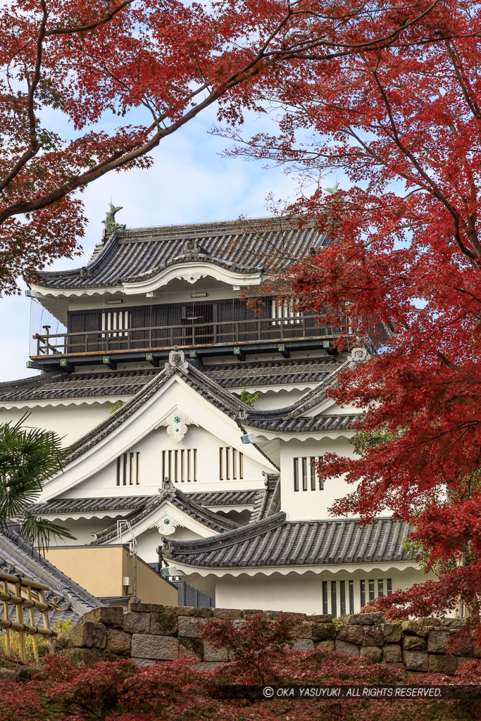 岡崎城の紅葉