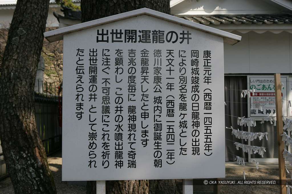 出世開運龍の井