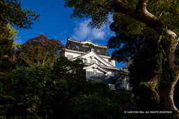 坂谷門付近から天守 | 高解像度画像サイズ:8192 x 5464 pixels | 写真番号:344A4325 | 撮影:Canon EOS R5