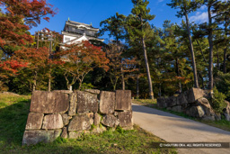 坂谷門跡 | 高解像度画像サイズ:8192 x 5464 pixels | 写真番号:344A4332 | 撮影:Canon EOS R5