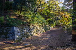 持仏堂曲論腰巻石垣 | 高解像度画像サイズ:8192 x 5464 pixels | 写真番号:344A4344 | 撮影:Canon EOS R5