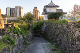 南切通 | 高解像度画像サイズ:7669 x 5115 pixels | 写真番号:344A4399 | 撮影:Canon EOS R5