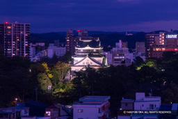 岡崎城ライトアップ | 高解像度画像サイズ:6154 x 4105 pixels | 写真番号:344A4429 | 撮影:Canon EOS R5