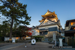 岡崎城天守・本丸から | 高解像度画像サイズ：8192 x 5464 pixels | 写真番号：344A4467 | 撮影：Canon EOS R5