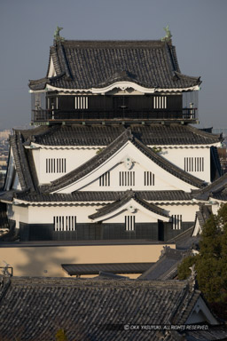 天守遠景｜高解像度画像サイズ：4480 x 6720 pixels｜写真番号：5D4A3277｜撮影：Canon EOS 5D Mark IV